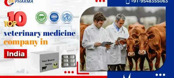 top-10-veterinary-medicine-companies-in-india