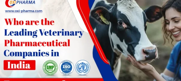 who-is-the-leading-veterinary-pharmaceutical-company-in-india
