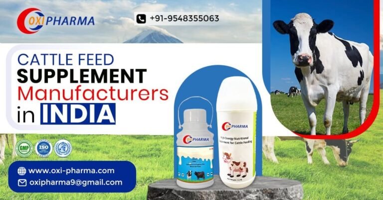 How to Choose the Best Cattle Feed Supplement Manufacturers in India