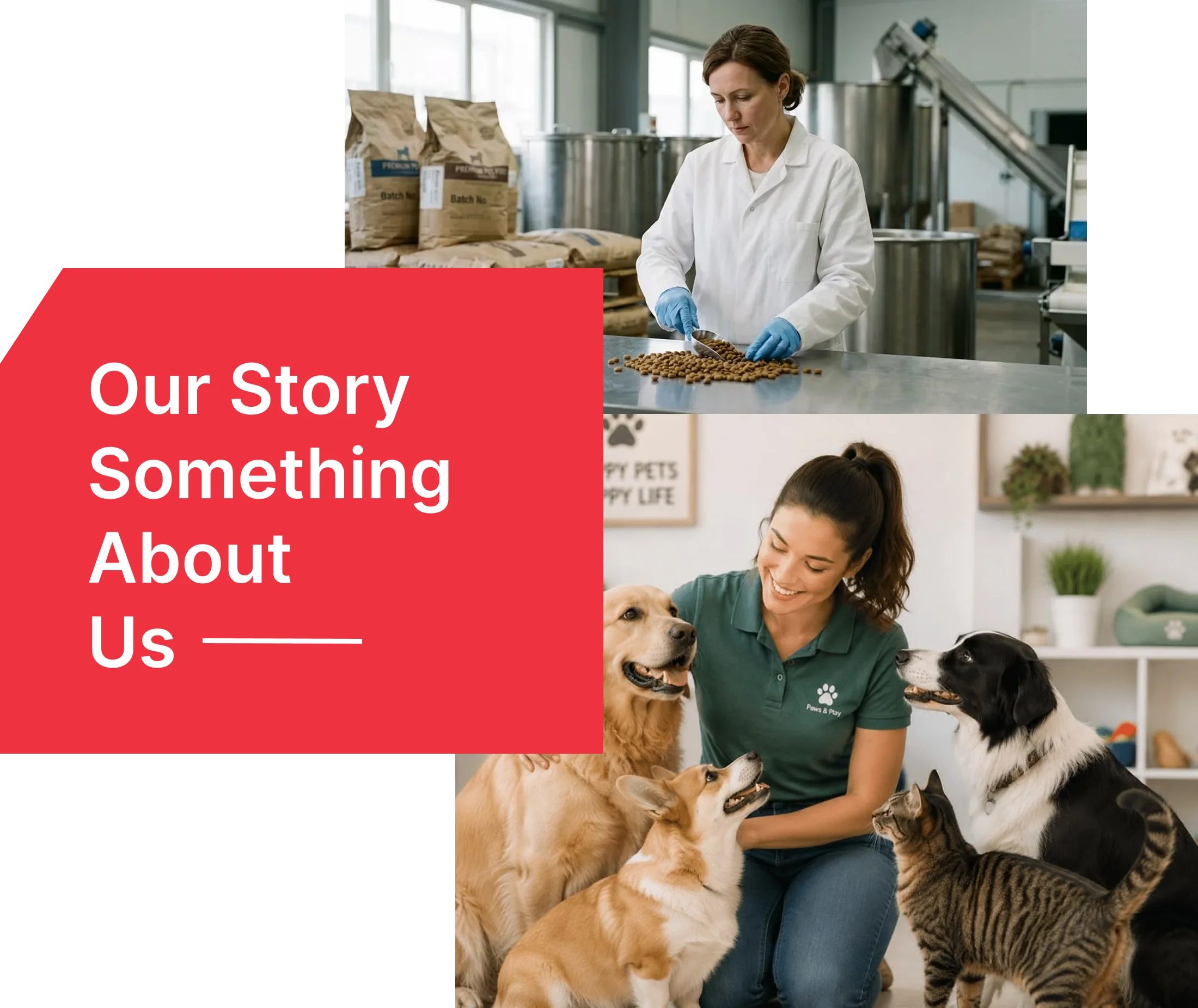 about us